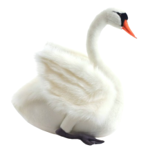 Мягкая игрушка HANSA белый Лебедь, 27см (4085)