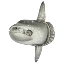 Мягкая игрушка Солнечная рыба, W. 52см, HANSA (8478)