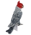 Plush Toy Posing red-headed cockatoo, H. 43cm, HANSA (8391)