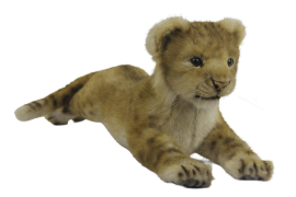 Lion Cub Floppy 55cm.L, HANSA (7892)