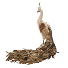 Decor Peacock, GoodWill (81533)