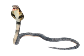 Plush Toy HANSA King cobra, 230 cm (6473)