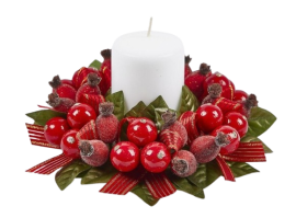 Декор вінок святковий із ягід шипшини діаметр 20см, Enzo De Gasperi (EDG Italy) 16896