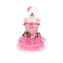 Flower Fairy Dress, Pink, Size US 5-6, Great Pretenders (36635)