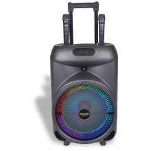 Musical Instruments Portable speaker with microphone, Bontempi (491080)