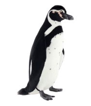 Plush Toy King penguin, H. 65cm, HANSA (7117)