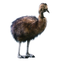 Plush Toy ostrich Emu, H. 180cm, HANSA (8566)