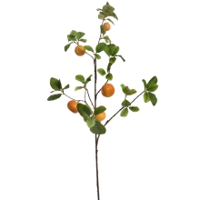 Sandbox Branch with large oranges, Jasaco (38620)