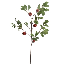 Sandbox Branch with pomegranates large, purple, Jasaco (55160)