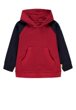 Hoodie for a boy with a hood (color red with blue) s.104, Bellybutton (29943)