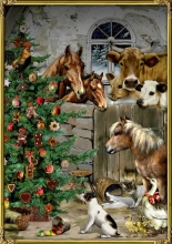 Advent Calendar Holiday Farm, Spiegelburg (71891)