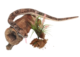 Мягкая игрушка Питон коричневый, длина 158см, Hansa (63784)