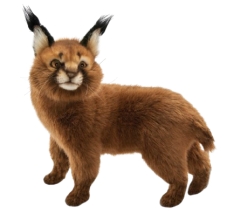 Мягкая игрушка Кот Каракал, стоящая высота 30см, Hansa (70492)