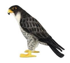 Plush Toys Plush Toy Falcon, height 50cm, Hansa (84352)