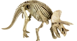 Набір Знайди Трицератопса T-RexWorld, Spiegelburg (19589)