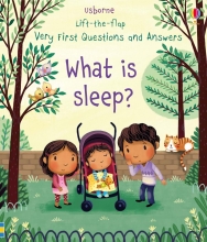 Детская книга Lift-the-flap Very First Questions and Answers What is Sleep?, Usborne, английский 3+ лет 12 стр