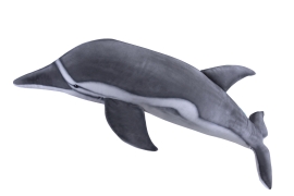 Plush Toy Dolphin studio, Hansa, 195 cm, art. 5073