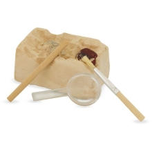 Archaeologists Kit: Stones and Minerals, Ulysse Couleurs dEnfance