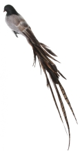 Новорічний декор Пташка з сірим оксамитовим тілом та коричневим хвостом, Shishi, 54 см, арт. 58465