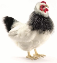 Plush Toys Plush Toy HANSA French chicken, 30cm (5620)