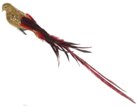 New Years decor Bird with a pheasants tail, Shishi, red and gold, 55 cm, art.49514