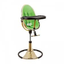 Стульчик для кормления BLOOM™ FRESCO YELLOW GOLD [gala green]
