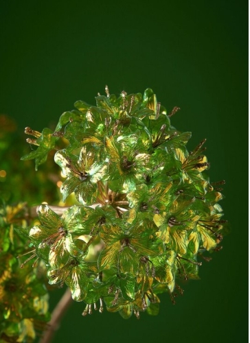 Декор гілка калини зелена висота 98см, Enzo De Gasperi (EDG Italy) 57984 / Новорічний декор № 3