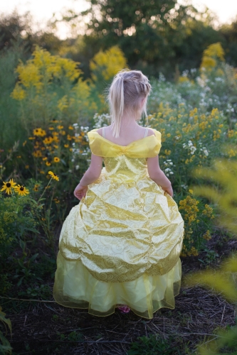 Сукня Belle делюкс, розмір US 5-6, Great Pretenders (35205) / Все для свята № 4 Kids Republic Сукня Belle делюкс, розмір US 5-6, Great Pretenders (35205) / Все для свята № 4