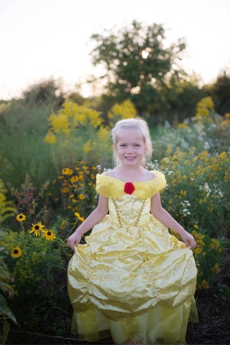 Сукня Belle делюкс, розмір US 7-8, Great Pretenders (35207) / Все для свята № 2 Kids Republic Сукня Belle делюкс, розмір US 7-8, Great Pretenders (35207) / Все для свята № 2