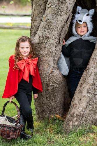Cape Wolf size US 4-6, Great Pretenders (57565) / Party Supplies № 11 Kids Republic Cape Wolf size US 4-6, Great Pretenders (57565) / Party Supplies № 11