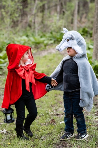 Cape Wolf size US 4-6, Great Pretenders (57565) / Party Supplies № 12 Kids Republic Cape Wolf size US 4-6, Great Pretenders (57565) / Party Supplies № 12