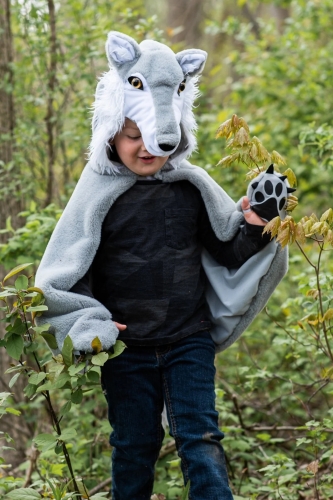 Cape Wolf size US 4-6, Great Pretenders (57565) / Party Supplies № 6 Kids Republic Cape Wolf size US 4-6, Great Pretenders (57565) / Party Supplies № 6