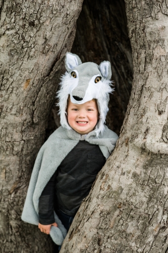 Cape Wolf size US 4-6, Great Pretenders (57565) / Party Supplies № 7 Kids Republic Cape Wolf size US 4-6, Great Pretenders (57565) / Party Supplies № 7