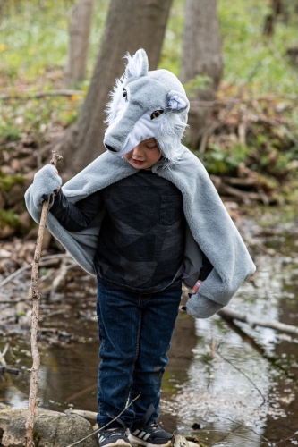 Cape Wolf size US 4-6, Great Pretenders (57565) / Party Supplies № 9 Kids Republic Cape Wolf size US 4-6, Great Pretenders (57565) / Party Supplies № 9