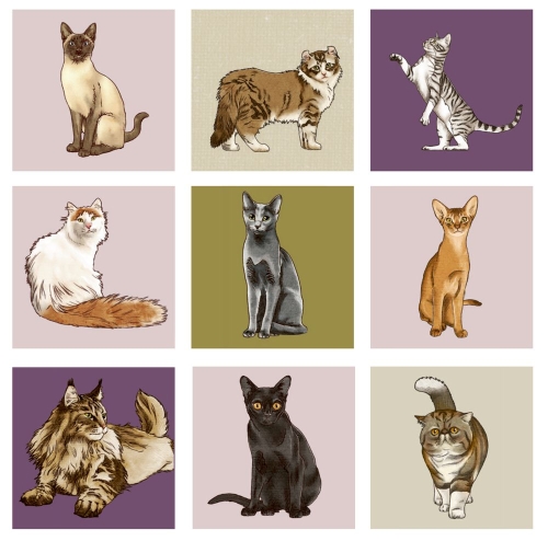 Мемо-игра Я люблю кошек, Spiegelburg (22016) / Игровые наборы № 2