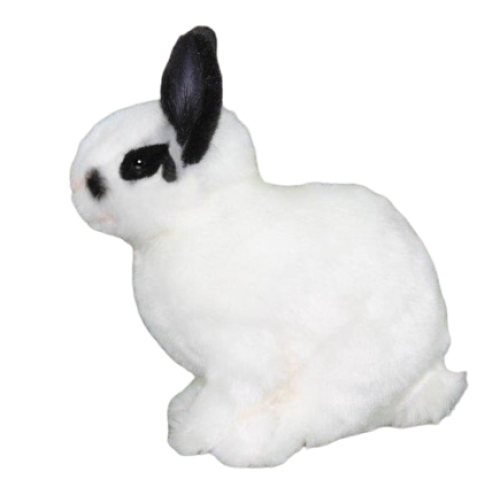 Plush Toy White rabbit with black ears, H. 18cm, HANSA (8338)