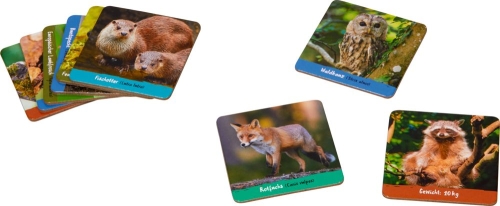 Memo Game, Die Spiegelburg (83095) / Educational Toys Kids Republic Memo Game, Die Spiegelburg (83095) / Educational Toys