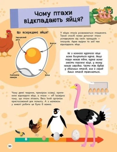 Большая энциклопедия : Большая энциклопедия для почемусика, Ранок (477437) / Детская литература № 4 Kids Republic Большая энциклопедия : Большая энциклопедия для почемусика, Ранок (477437) / Детская литература № 4