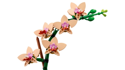 Constructor LEGO Mini Orchid (10343) / Constructors № 3 Kids Republic Constructor LEGO Mini Orchid (10343) / Constructors № 3