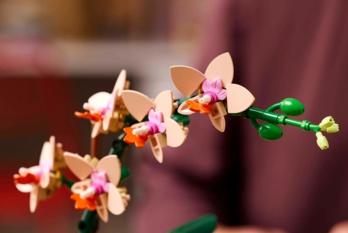 Constructor LEGO Mini Orchid (10343) / Constructors № 6 Kids Republic Constructor LEGO Mini Orchid (10343) / Constructors № 6