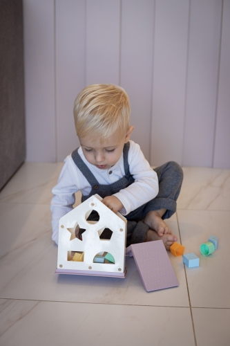 ECO Игрушка-сортер Магический дом, ELFIKI (97808) / Сортеры и пирамидки № 5 Kids Republic ECO Игрушка-сортер Магический дом, ELFIKI (97808) / Сортеры и пирамидки № 5