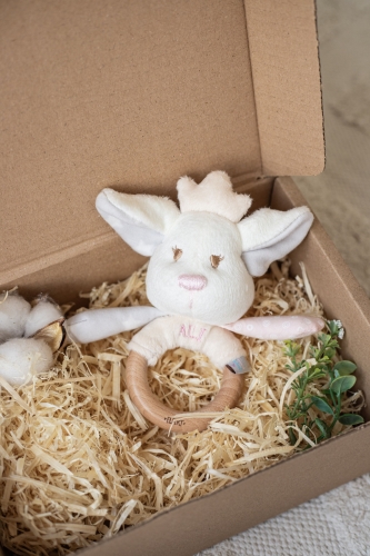 Игрушка - погремушка с деревянным грызунцем эльфик Айли, ELFIKI (04852) / Погремушки № 5 Kids Republic Игрушка - погремушка с деревянным грызунцем эльфик Айли, ELFIKI (04852) / Погремушки № 5