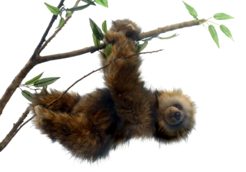 Plush Toy Three-toed sloth, height 34 cm, Hansa (45803) / Plush Toys Kids Republic Plush Toy Three-toed sloth, height 34 cm, Hansa (45803) / Plush Toys