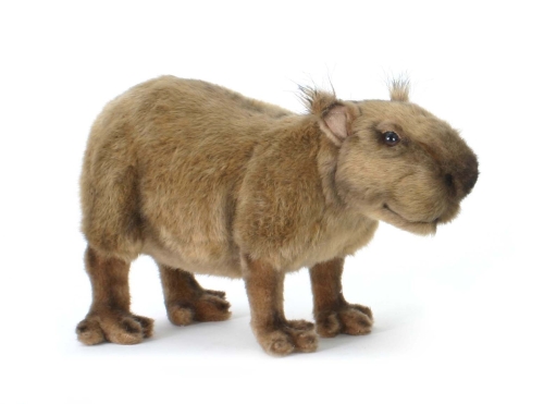 Мяка іграшка Капібара, довжина 33 см, Hansa (51286) / Мякі іграшки № 2 Kids Republic Мяка іграшка Капібара, довжина 33 см, Hansa (51286) / Мякі іграшки № 2