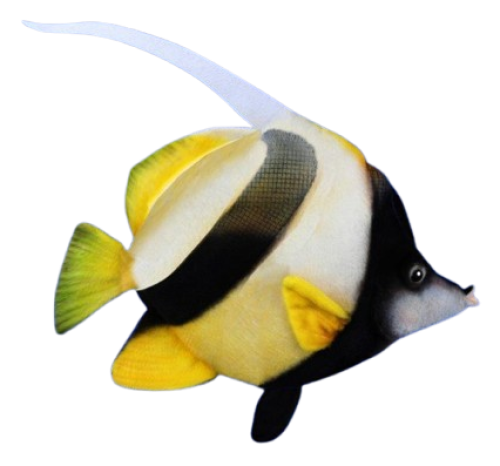 Plush toy Butterfly Fish pennant length 33cm, Hansa (8790) / Plush Toys