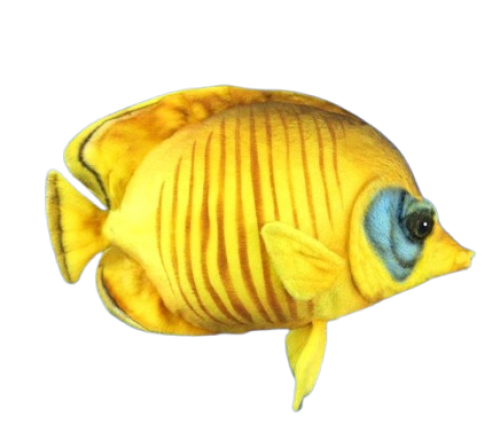 Plush toy Blue-cheeked butterfly fish, length 27cm, Hansa (8794) / Plush Toys