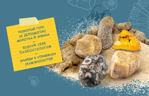 Раскопки окаменелостей - Набор для исследования, Розум (90389) / Игровые наборы № 3 Kids Republic Раскопки окаменелостей - Набор для исследования, Розум (90389) / Игровые наборы № 3