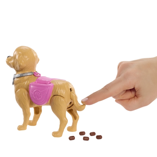 Barbie Walking with the Dog set, Mattel (38887) / Dolls № 2