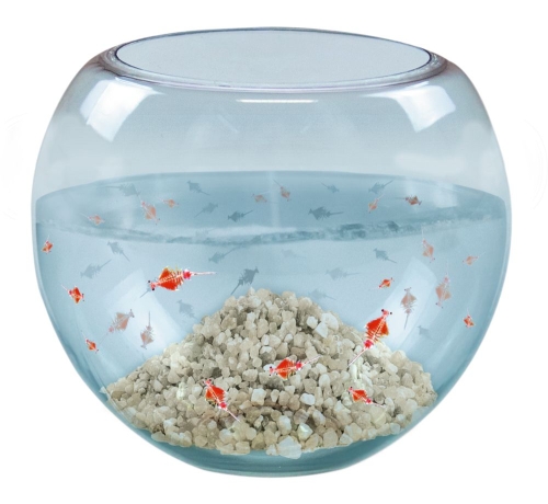 Набор Мир морских животных T-Rex World, Spiegelburg (14201) / Игровые наборы № 3 Kids Republic Набор Мир морских животных T-Rex World, Spiegelburg (14201) / Игровые наборы № 3