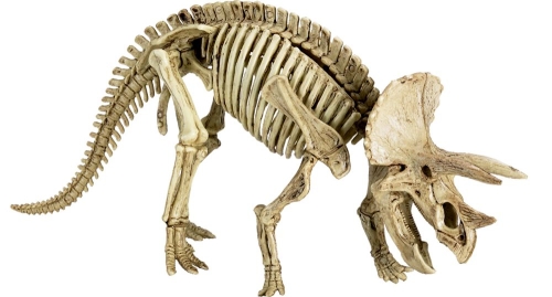 Набор Найди Трицератопса T-RexWorld, Spiegelburg (19589) / Игровые наборы